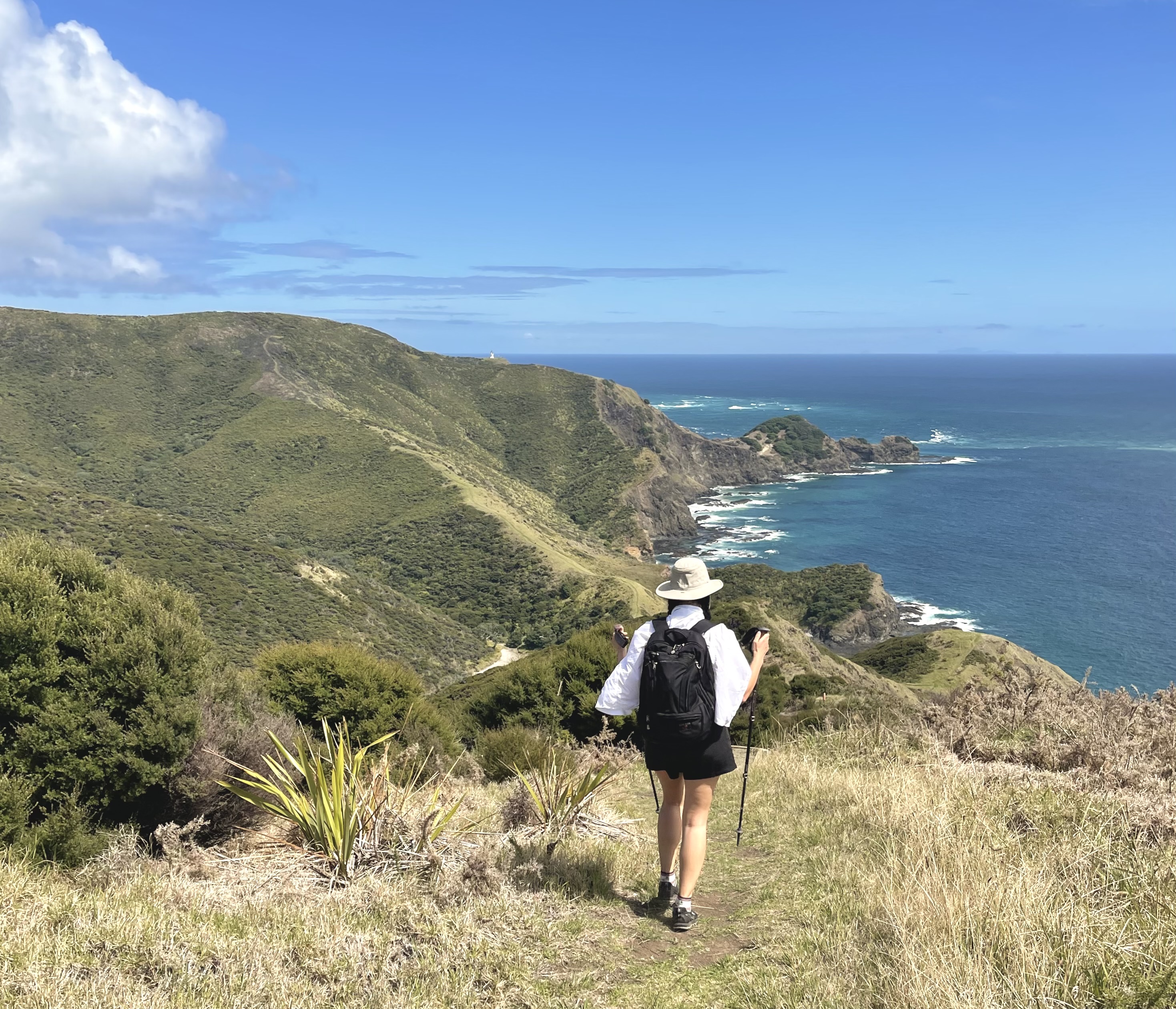 A person hiking along a wide coastal path overlooking the ocean